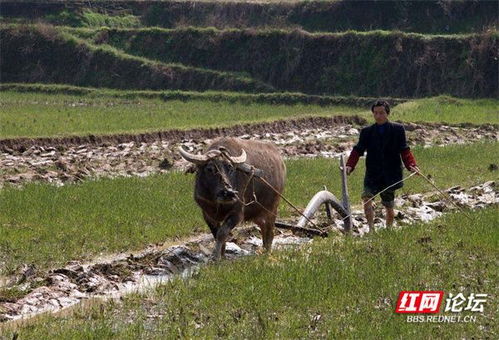 鼻子出现长痘痘的原因主要是什么呢